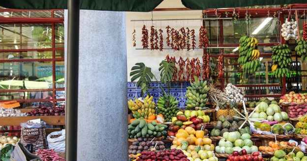 American family using reusable bags at farmers market