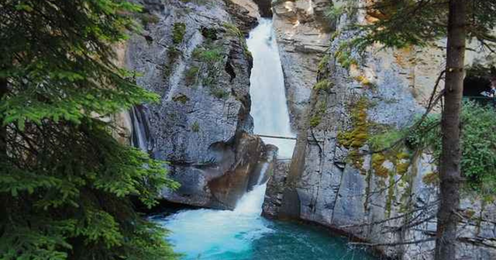 From Experiment to Global Movement