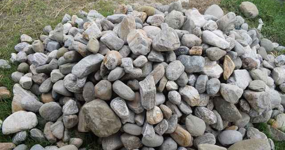 Implementing Bea Johnson's Philosophy in Modern Life