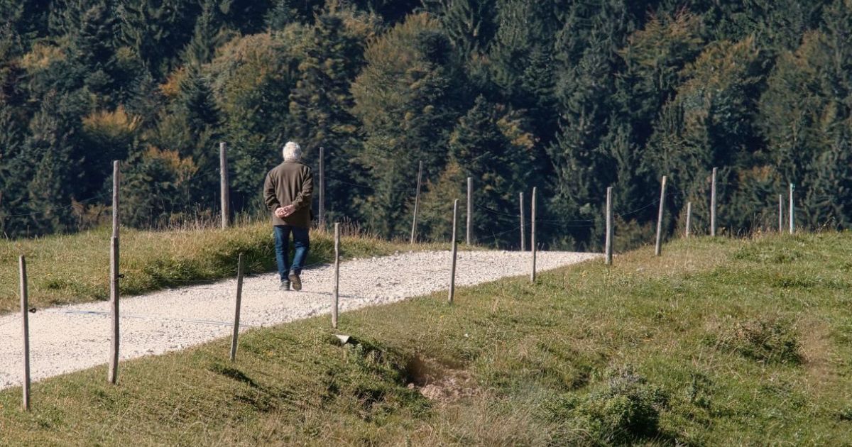 Person walking on sunlit forest path, beginning their zero-waste journey with hope and connection to nature"