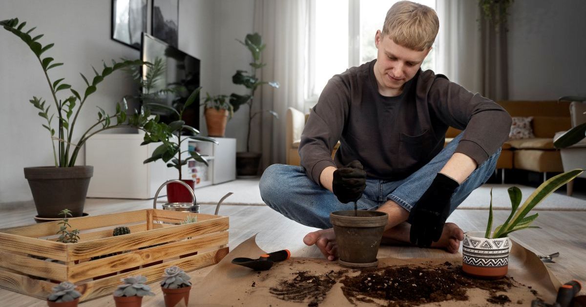 digging-hole-removing-seedling-from-pot-placing-in-soil-watering-gently