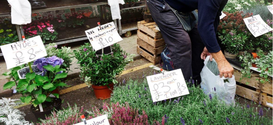 Choosing appropriate plants represents your most critical decision each season. First, determine your USDA hardiness zone and average frost dates using official resources. Select varieties specifically bred for your region's conditions—heat-tolerant types for southern gardens,