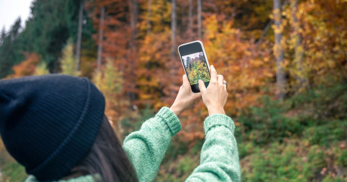 Person holding smartphone while walking in sunlit forest, technology supporting sustainable lifestyle and connection to nature