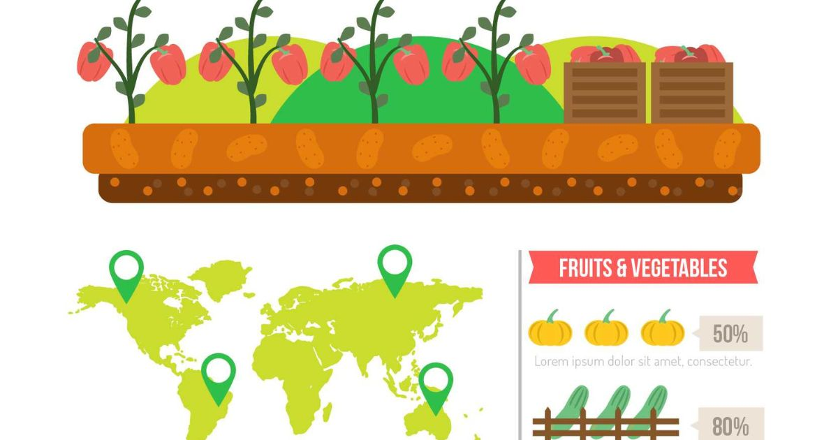 Interactive USDA gardening zone map showing appropriate plants for different zones with tomato, lettuce, and blueberry icons