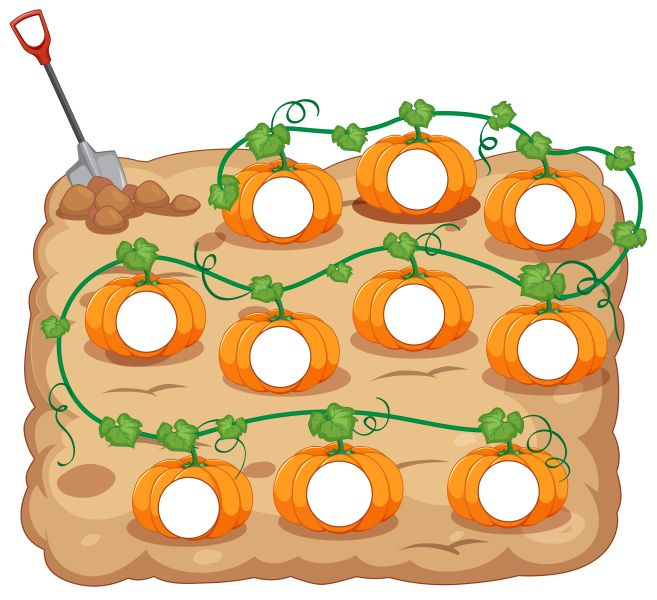 Garden planning diagram showing companion planting layout with tomatoes, basil, marigolds, and carrots in organized beds
