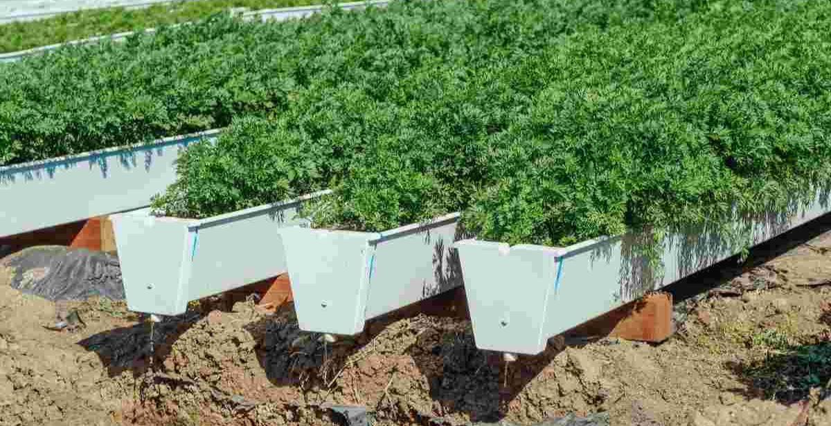 Happy multi-generational gardening team planting tomatoes and herbs in raised beds, showing beginner-friendly gardening in action"